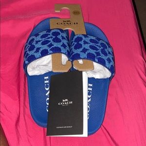 Brand new coach slides